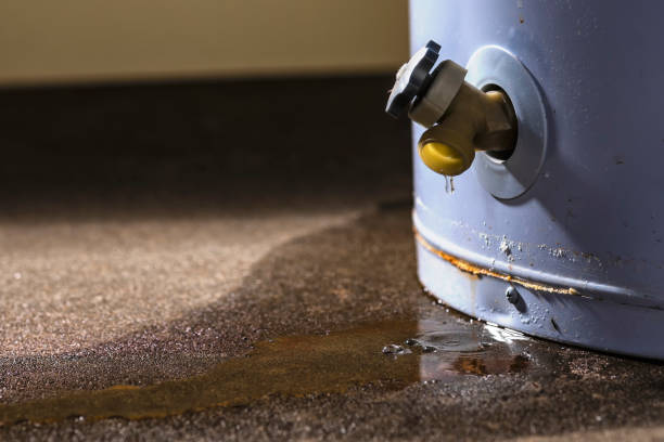 Best Professional water damage repair  in Melrose Park, IL
