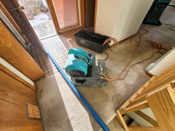 Best Flooded house restoration  in Melrose Park, IL