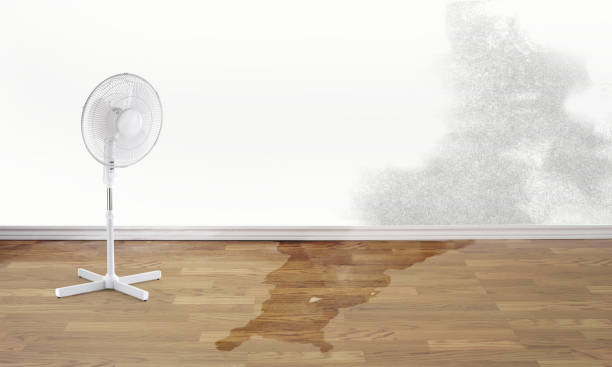 Best Commercial water damage restoration  in Melrose Park, IL