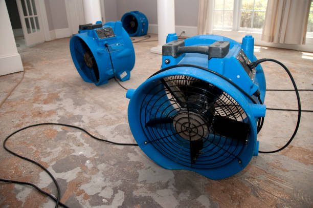 Trusted IL Water damage restoration Experts
