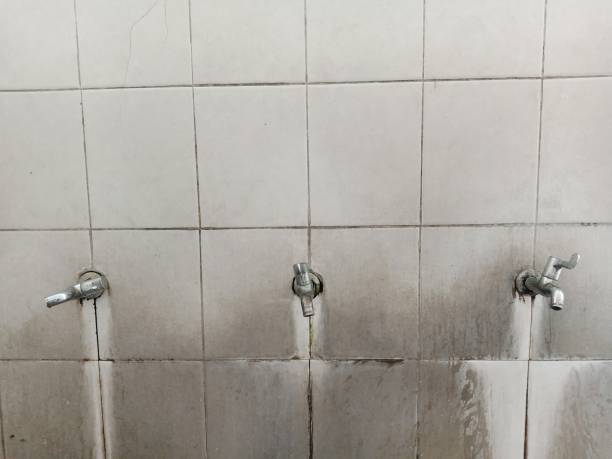 Best Flooded house restoration  in Melrose Park, IL