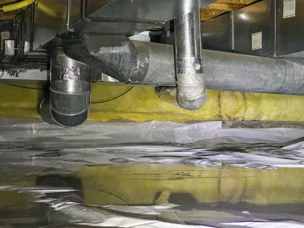 Best Water damage cleanup near me  in Melrose Park, IL