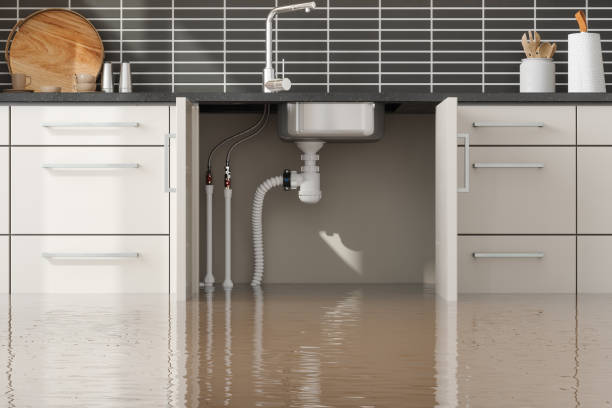 Best Sewage cleanup and water damage restoration  in Melrose Park, IL